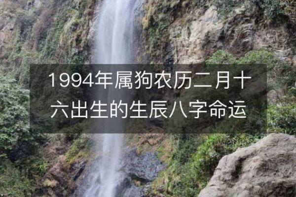 1957年出生属狗者的命运与人生启示