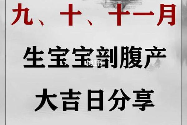 2020鼠宝宝的命格解析：如何发展与提升他们的潜力