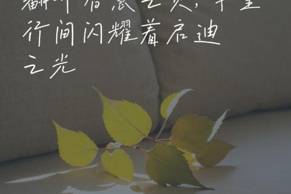 深入探讨僧尼命理特征:静谧内心与智慧启迪的结合之道 深入探讨僧尼命理特征:静谧内心与智慧启迪的结合之道