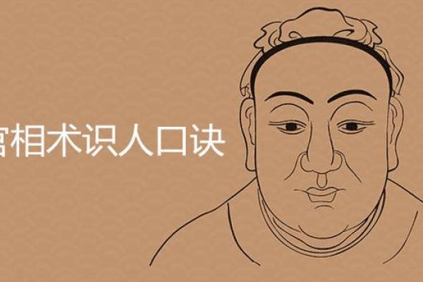 辛未年出生的人命格解析：揭密你的性格与命运