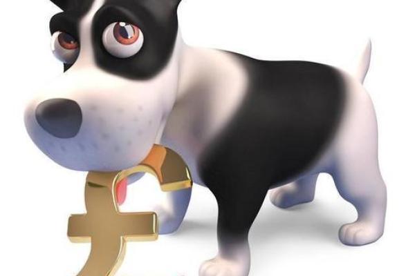 70年狗命缺什么：探秘狗年出生人的命理与性格之旅