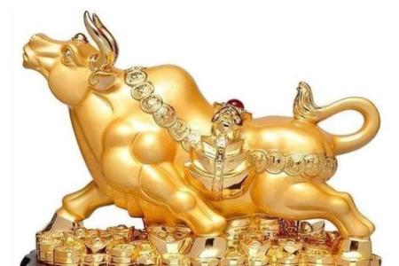 亥时出生的人命运解析：从生肖看人生的独特轨迹