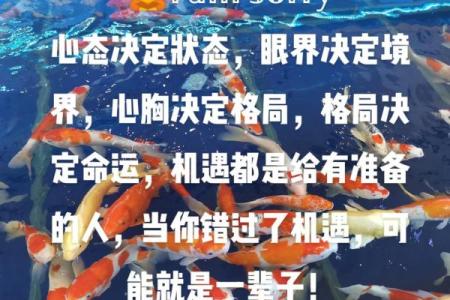 1981年9月：命运交响曲中的人生选择与机遇