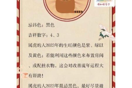 86年出生的人属虎，探秘生肖虎的性格与命运