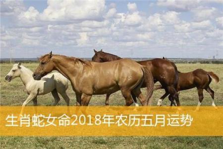 海中金命如何选择佩戴手表，提升运势与气质！