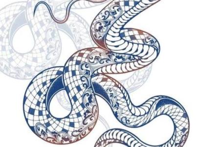 属蛇男的命运解析：智慧与挑战并存的生活之旅