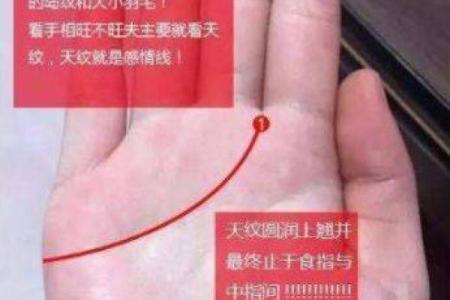 中指之命：如何掌握你的命运与个性之奥秘