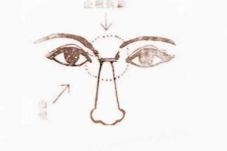 男子鼻头窄的面相解析：揭秘其命运特征与影响