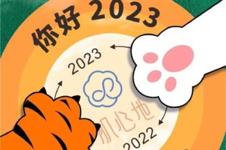 2023年太阳主导之年：重新定义自我与生活的精彩