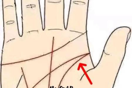 揭开短命命理的奥秘：哪些因素决定生命的长度？