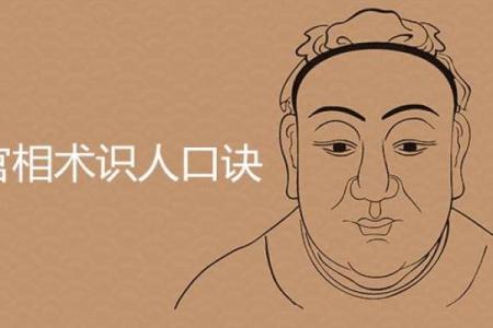 辛未年出生的人命格解析：揭密你的性格与命运