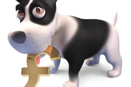 70年狗命缺什么：探秘狗年出生人的命理与性格之旅