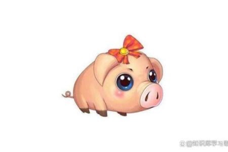 87岁属猪的命运解析：揭示人生的智慧与财富之道