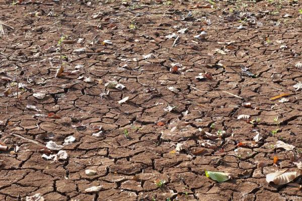 墙头土命:探寻命理中的独特土属性与人生影响 墙头土命:探寻命理中的独特土属性与人生影响