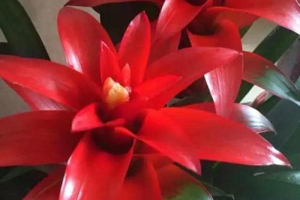 属猴2022年运势解析:智勇双全,步步高升的美好前景 属猴2022年运势解析:智勇双全,步步高升的美好前景