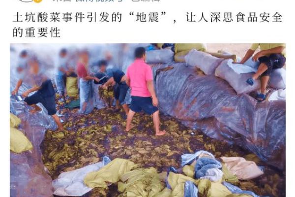 女人的命是芥菜命:关于女性的坚韧与柔软的一次深思 女人的命是芥菜命:关于女性的坚韧与柔软的一次深思