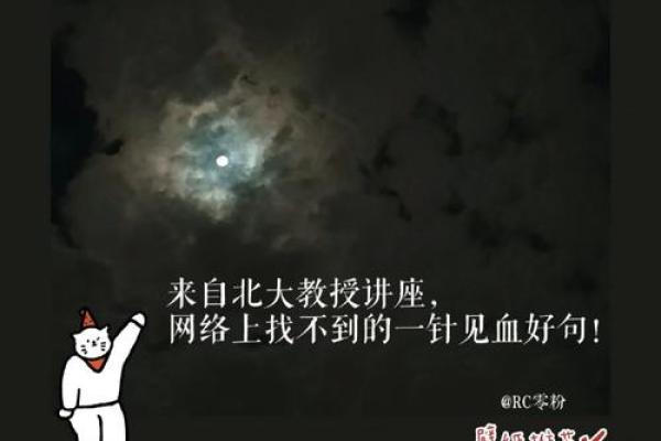 八七年号命:风雨人生的探索与感悟 八七年号命:风雨人生的探索与感悟