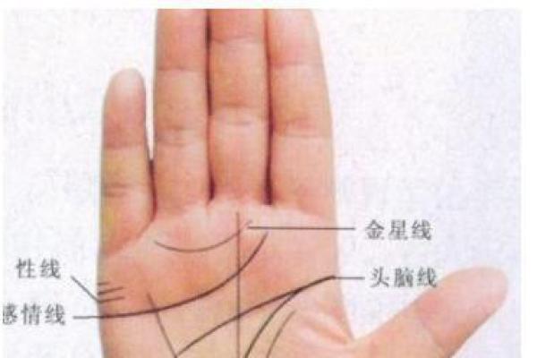 揭开月牙手纹的奥秘:看你命运的美丽迹象 揭开月牙手纹的奥秘:看你命运的美丽迹象