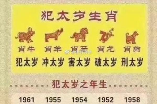 2014年甲午年，属马龙的命理解析与人生启示