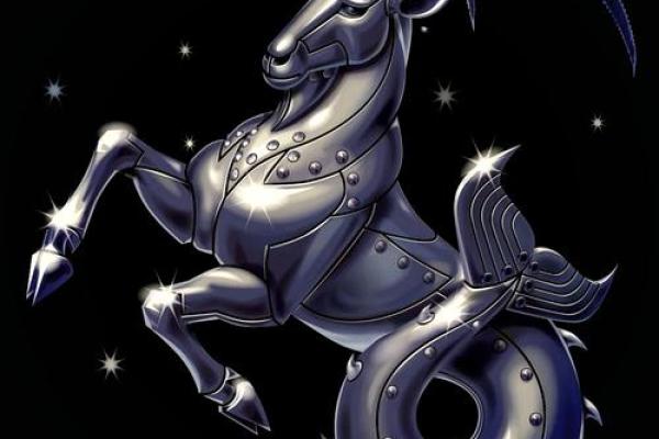 揭秘摩羯座男人的命运与性格特征,了解他们的内心世界 揭秘摩羯座男人的命运与性格特征,了解他们的内心世界