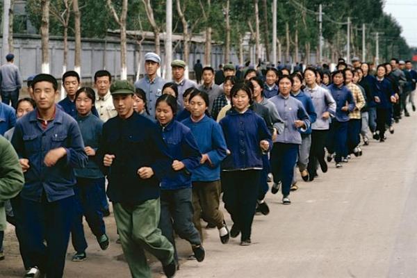 1976年出生的人命运解析与人生旅程探讨