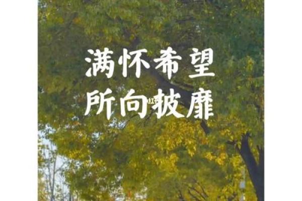 1963年牛年生人的命运与人生之路解析