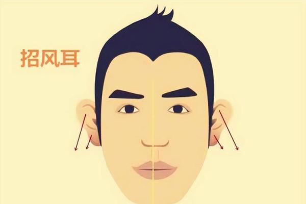 耳朵高于耳轮:揭示人生命运的秘密与启示 耳朵高于耳轮:揭示人生命运的秘密与启示