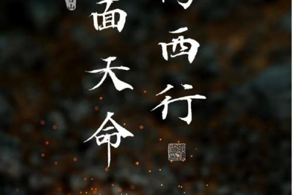 探索辛巳丁酉甲辰壬申命理：五行与命运的交织之旅