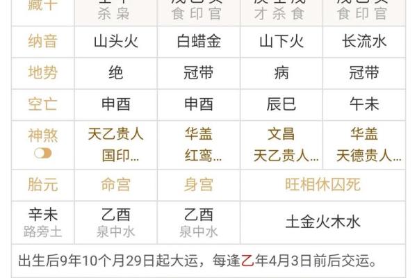 深入解析命理八字中的通根命：命理学的深奥魅力与启示