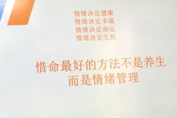 探索“惜命是命”的深意，女生如何理解生命的重要性与价值