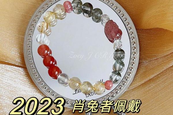 2023年兔年运势解析：生肖兔的健康与财富之道