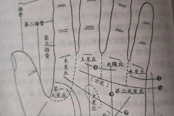 揭秘女生看手相，掌握命运的秘密！