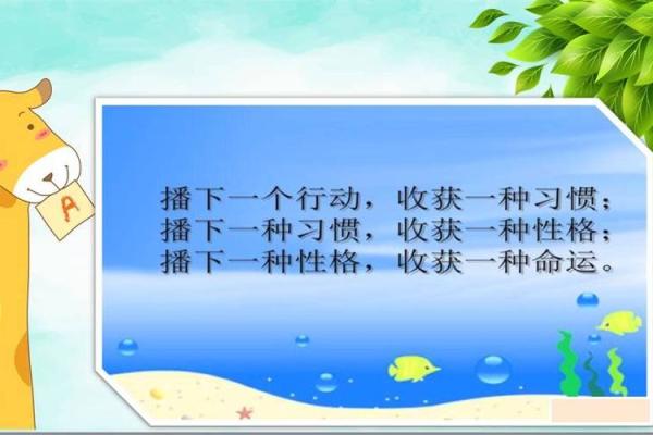 1980年属鸡人的命运与性格解析：追寻成功的智慧之路