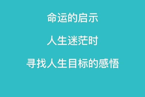 2002年：水命年的神秘魅力与命运启示