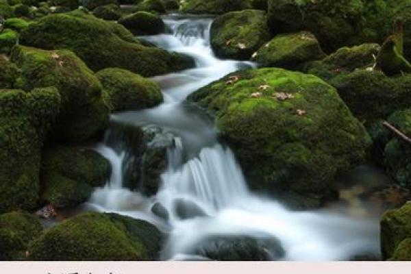 2002年：水命年的神秘魅力与命运启示