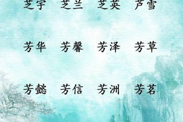 2019木命宝宝起名指南：揭秘缺什么与优雅的名字选择