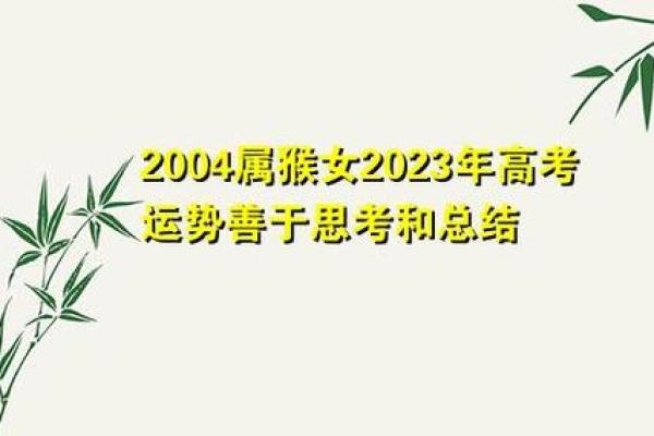 2004年属猴人的命运解析：聪明机智，辉煌人生的秘诀