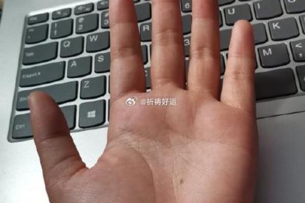 揭秘簸箕命女人:手相与命运的神秘关联 揭秘簸箕命女人:手相与命运的神秘关联