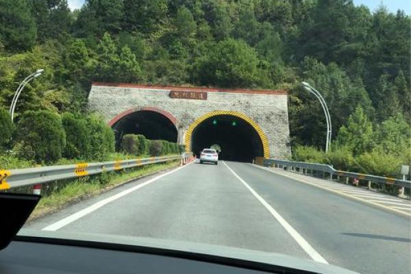 探索六九年鸡的命理魅力与人生旅程