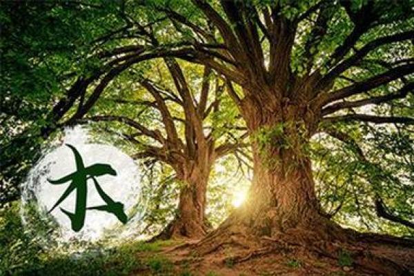 土命缺水的命理解析与转运方法探讨