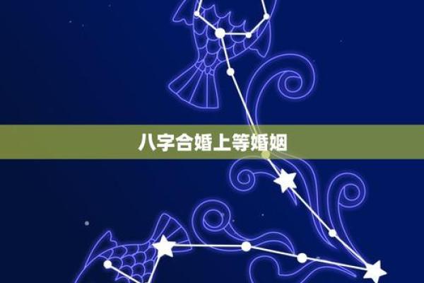路旁土命与星座喝什么：开启神秘的命理之旅