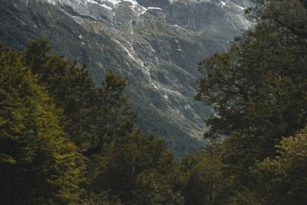 追寻自由的希望：1984年二月的冬日梦境