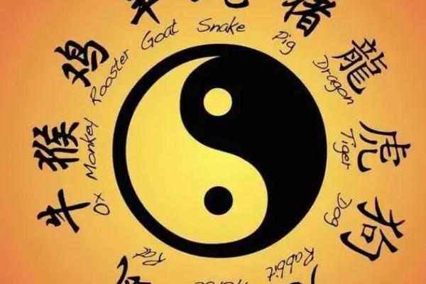 解密1961年出生的人:生肖与命理探讨之旅 解密1961年出生的人:生肖与命理探讨之旅