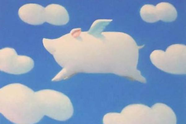 1934年出生的猪,这辈子注定与众不同!你准备好了解了吗? 1934年出生的猪,这辈子注定与众不同!你准备好了解了吗?