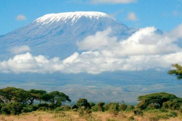 丙午年生人的命理分析:火与马的激情人生 丙午年生人的命理分析:火与马的激情人生