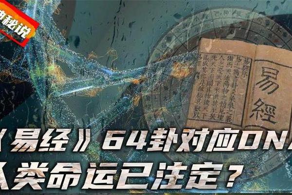 命理学中的算命概念解析：揭开命运之谜的神秘面纱