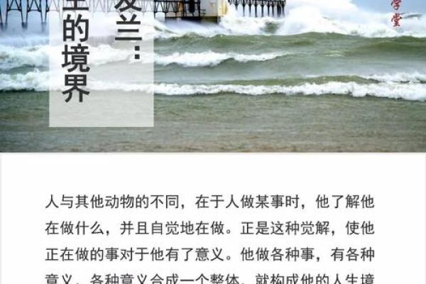 探寻木格命的色彩之旅：适合的颜色与人生哲学