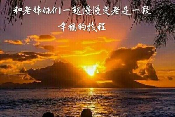 探寻1966年命主的独特人生轨迹与心灵旅程