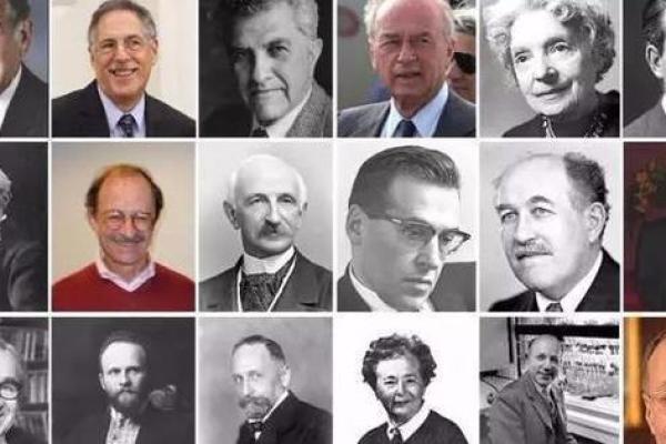 根据出生月份解析命运:你的性格与潜在能力 根据出生月份解析命运:你的性格与潜在能力