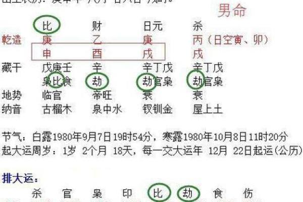 两儿子一姑娘的命运：探索家庭命理与人生轨迹的奥秘